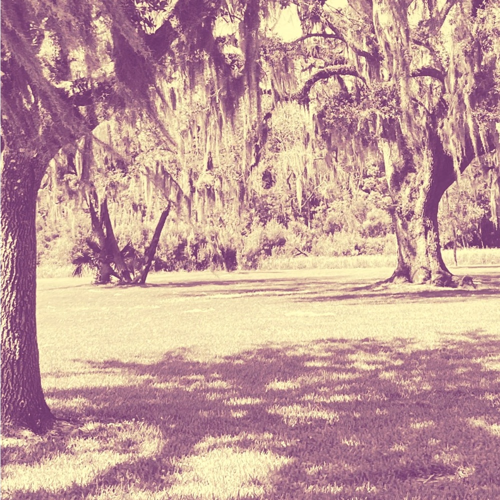 Meet your Posher, Ridgely